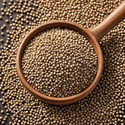 A Look at Upcoming Innovations in Electric and Autonomous Vehicles